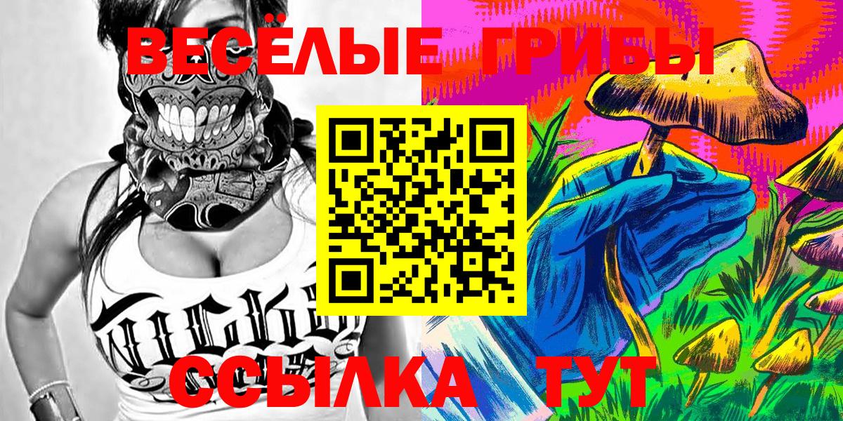 Галлюциногенные грибы GOLDEN TEACHER  Вход с VPN  Свободный 